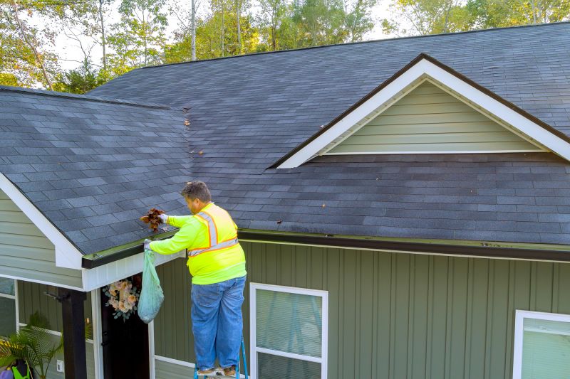 Gutter Maintenance in North Ridgeville